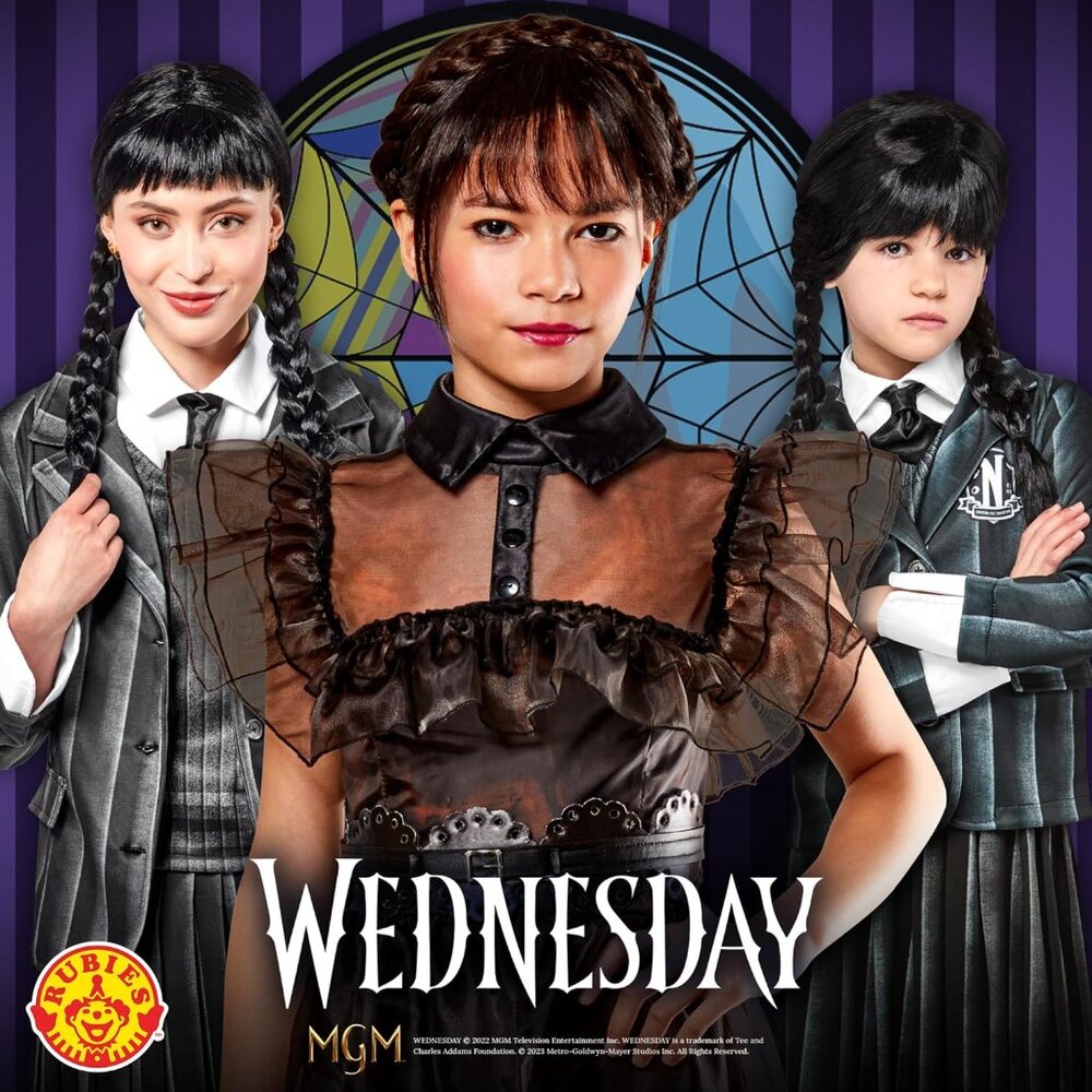 🕸️ Wednesday Addams Costume Wig NWT 🕸️